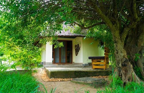 Pakwach Hotel | Nile Breeze Bamboo Lodge