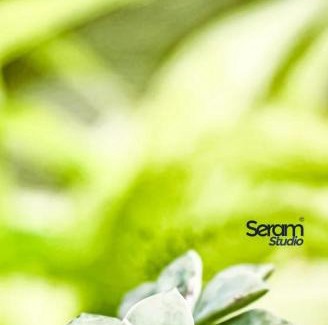Ragama House | Nisala Villa Guest House Ragama