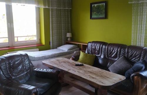 Tomice Apartment | Noclegi w pobliżu Energylandii - Agroturystyka Radocza Ogród