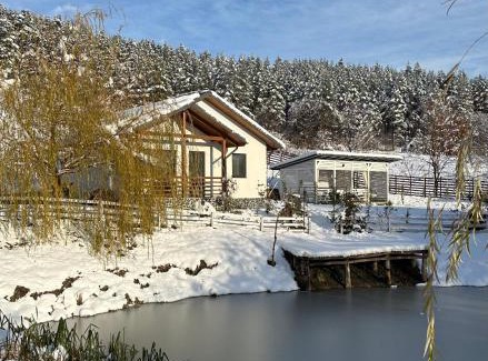 Piatra Neamt House | NOIA Caban