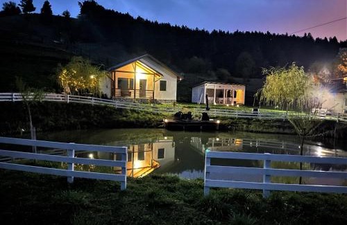 Piatra Neamt House | NOIA Caban