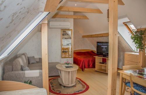 Nida Apartment | Nojus 2