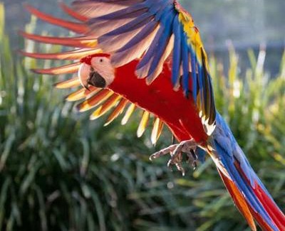 Maleny House | Nordic Star Maleny - Sleeps 10, Stroll to Town, See Platypus in the Lake!