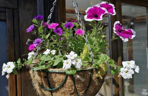 Souleuvre en Bocage House | NormanD Holiday Home - VIRE CALVADOS Relaxing Rural Retreat