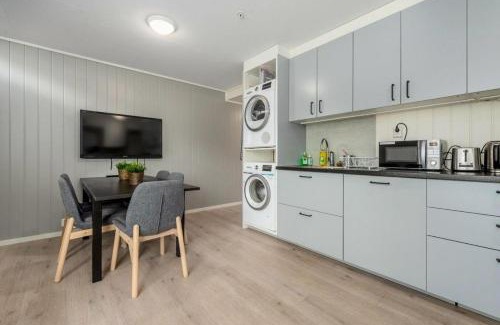 Orkanger Apartment | Norpark Romutleie