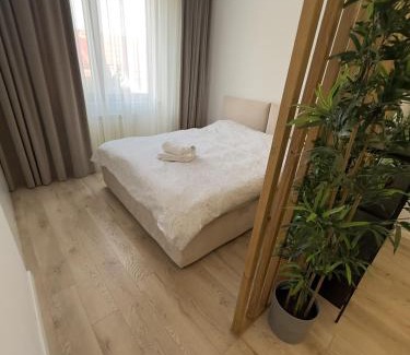 Aviatiei Apartment | North Area Lake - Edition Studio
