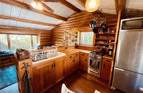 Schroeder Cabin | North Shore Tiny Log Cabin Retreat