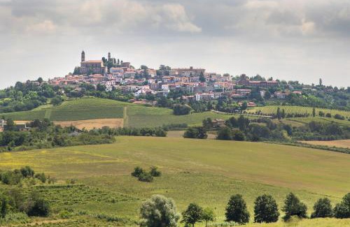 Vignale Monferrato Other | Notte nella Botte