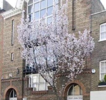Campden Apartment | Notting Hill Luxury 3BR Duplex Modern Spacious Gem