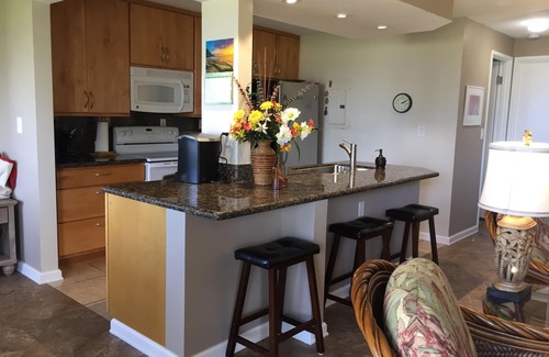 Hanamaulu Condo | nSee & Hear Ocean! Stroll to the beach! Secluded yet conveniently located!