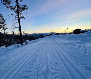Vikberget House | Ny eksklusiv hytte, strøm og jacuzzi inkl i prisen
