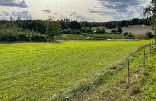 Atvidaberg Municipality Apartment | Nyrenoverad stuga nära naturen