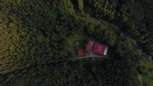 gmina Olszyna Other | Ośrodek leśny Rajsko w Zapuście