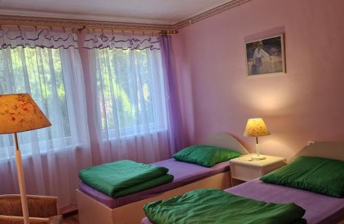 Sierakow House | Ośrodek Wypoczynkowy Puszczyk Domek Akacjowy- Apartament -Willa