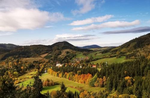 Sokołowsko Resort | Ośrodek Wypoczynkowy Radosno