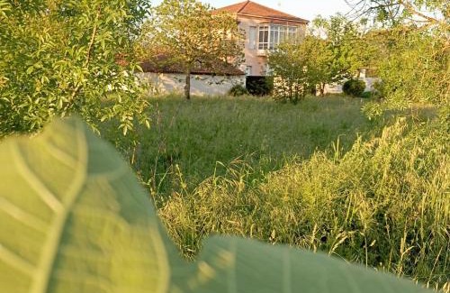 Monforte de Lemos House | O toxal