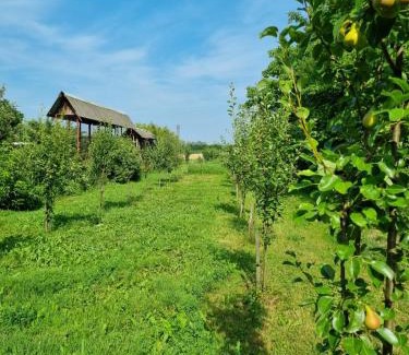 Krapje Apartment | Oak Holiday House Nature