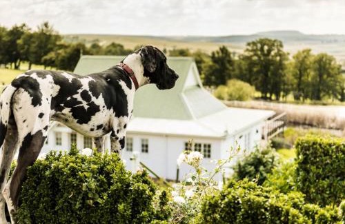 Murphy's Rust Hotel | Oaklands Farm Stay