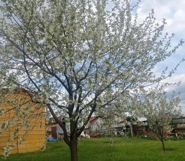 Ukta House | Oaza nad Krutynią