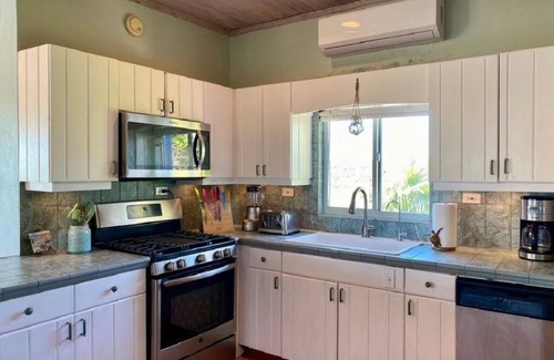 North Palmetto Point House | Ocean Breeze, steps to the beach! Generator, Starlink internet, filtered water.