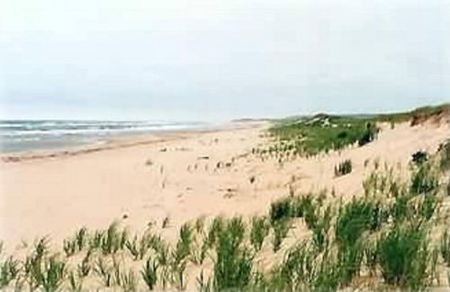 Bothwell Cottage | Ocean View Country Cottage