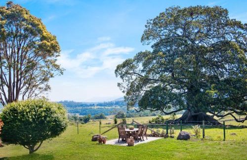 Willow Vale House | Ocean Willow Gerringong