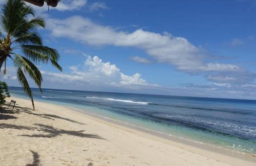 Nalauwaki Resort | Octopus Resort