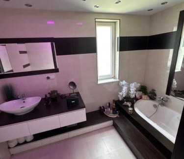 Tczew House | Ogród zimowy i salon