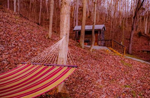 Lynx Other | Ohio Starlight Glamping Cabins - A Peaceful Woodland Retreat