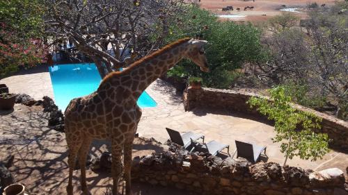 Outjo Cabin | Okutala Etosha Lodge