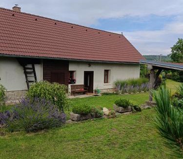 Horni Paseka House | Old Style Cottage