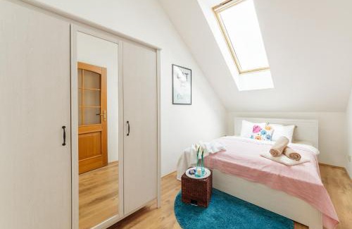 Ceske Budejovice Apartment | Old Town Charles Apartments