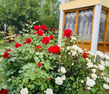 Hunder House | Olgok Guest House Nubra