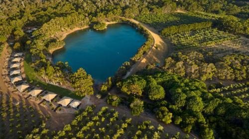 Cowaramup Other | Olio Bello Lakeside Glamping