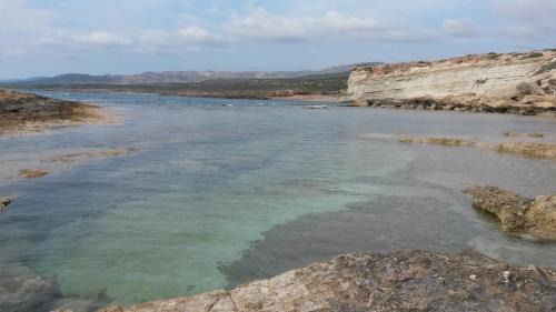 Agios Georgios Pegeias Villa | Olive Beach Villa