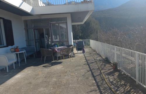 Pelinovo House | Olive resort