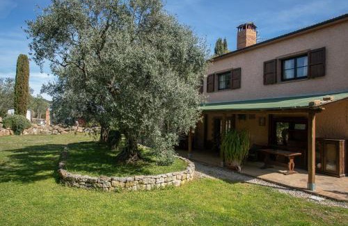 Roccastrada Villa | Olivos