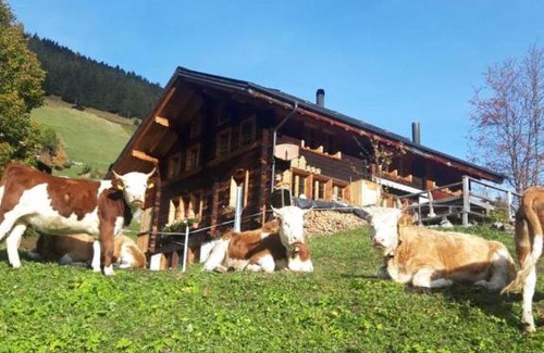 Gimmelwald Apartment | Olle and Maria's B&B- apartment