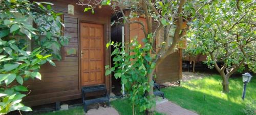 Olympos House | Olympos Varuna Pansiyon