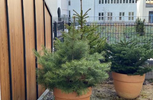 Grunwald Apartment | ONE Apartamenty Gąsiorowskich 4