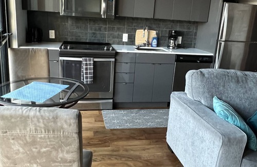 Downtown Winnipeg Apartment | One bed downtown laundry wifi across from the Jets arena