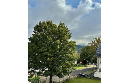 Grafschaft House | One-bedroom apartment