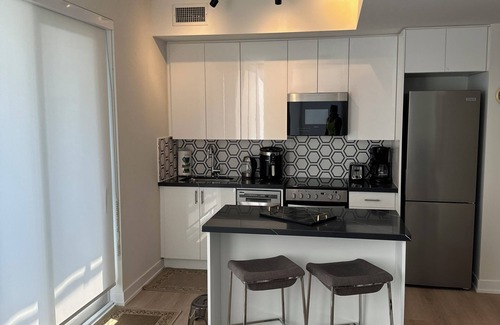 Willowdale Condo | One bedroom fully furnished Condo apartment - Northyork