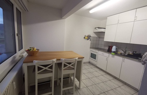 Uster District Apartment | One clean and cheap room in a quite flat