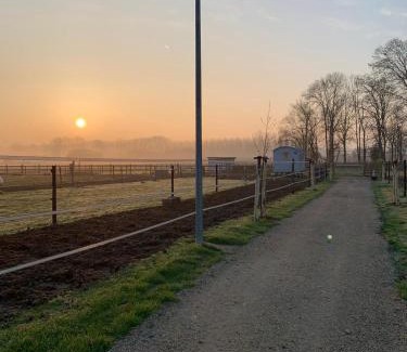 Helen-Bos Bed & Breakfast | Ontwaken tussen de paarden