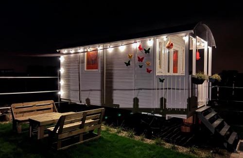 Helen-Bos Bed & Breakfast | Ontwaken tussen de paarden