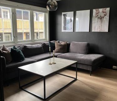 Oppdal Apartment | Oppdal Alpintun ski in ski out