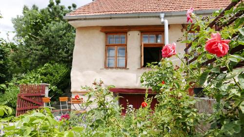 Lazanky Hotel | Orátor - restaurace a ubytování