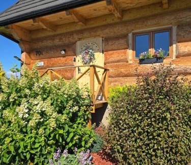 Witow Cabin | Osada Sprzycka
