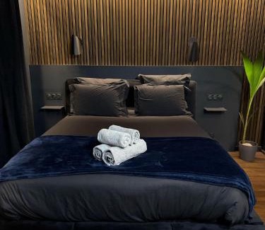 Faubourg Sud Apartment | Osmose Dijon